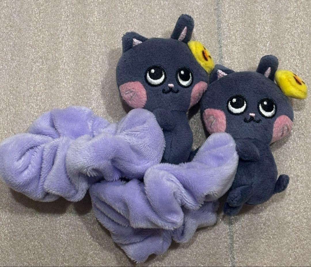 RIIZE ウォンビン トニャンドク　シュシュ