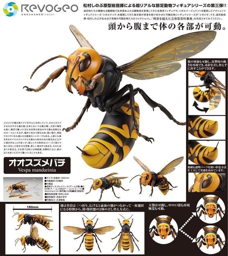 リボジオ／オオスズメバチ●海洋堂18cmリボルテック可動生物フィギュア松村しのぶ
