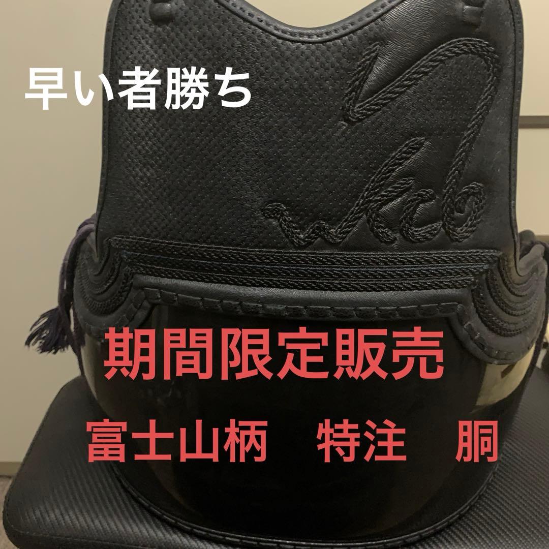 剣道　日本製　樹脂胴　富士山　国内200個限定　激レア　特注