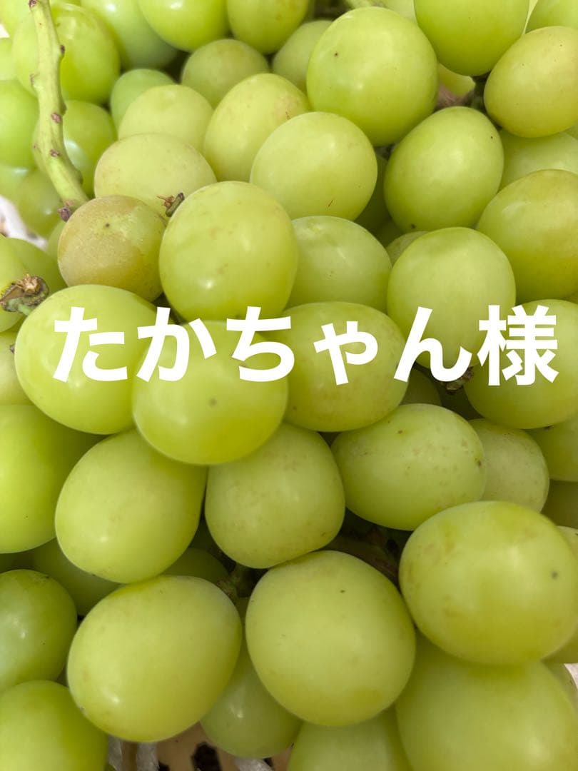 たかちゃん様
