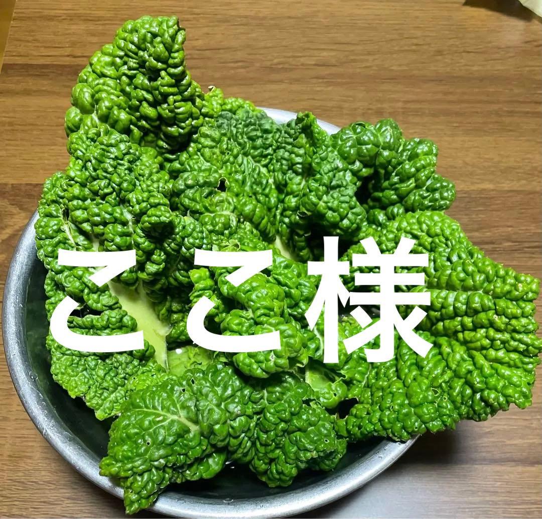 野菜詰め合わせ