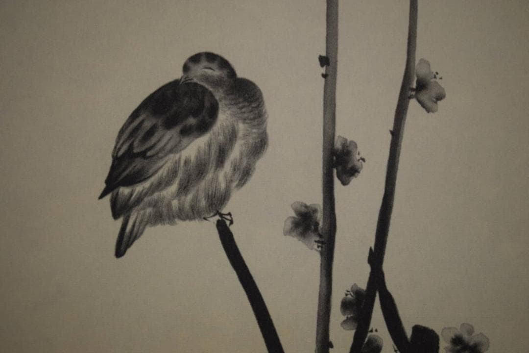 複製/宮本武蔵/二天/紅梅鳩図/工芸/布袋屋掛軸HJ-301