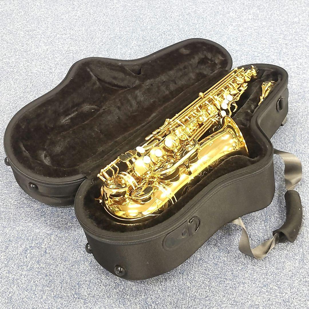 【Antigua / PROONE】アルトサックス