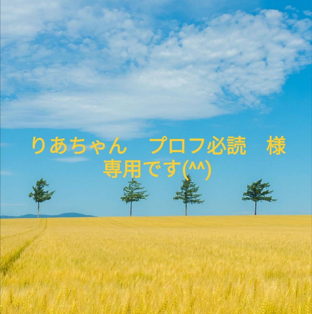 ルペパンとベルプラージュ　人気のリーフチョコ（リーフメモリー）４セット