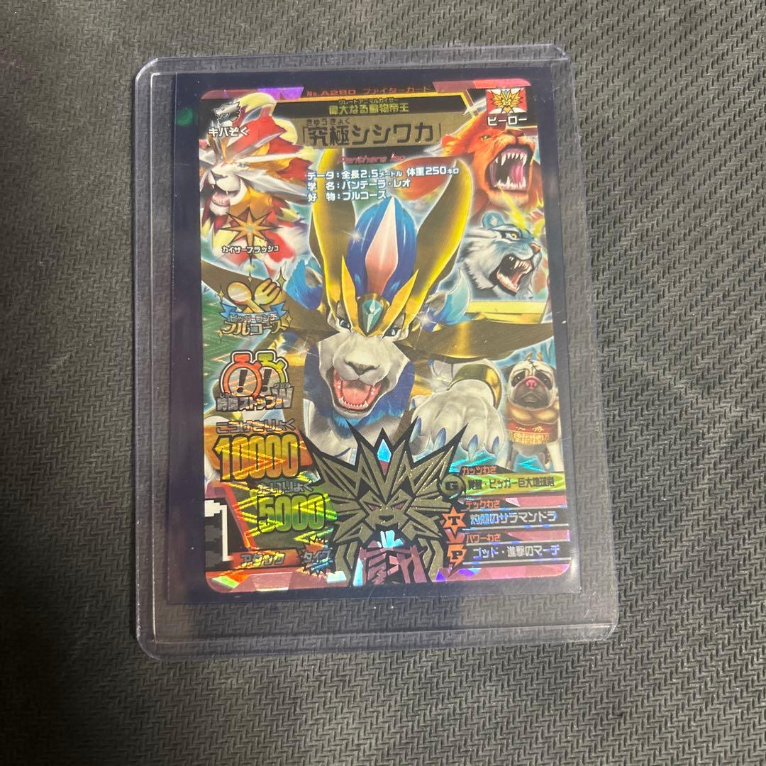 アニマルカイザー　究極シシワカ　究極レア