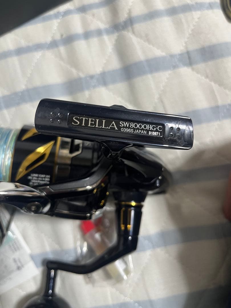 SHIMANO シマノ　STELLA19 ステラSW8000hg