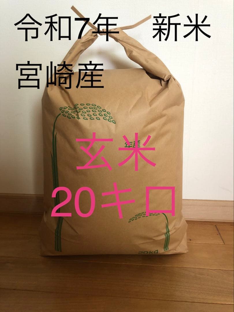しょうすけ　令和7年宮崎県産 新米 玄米20キロ 夏の笑み