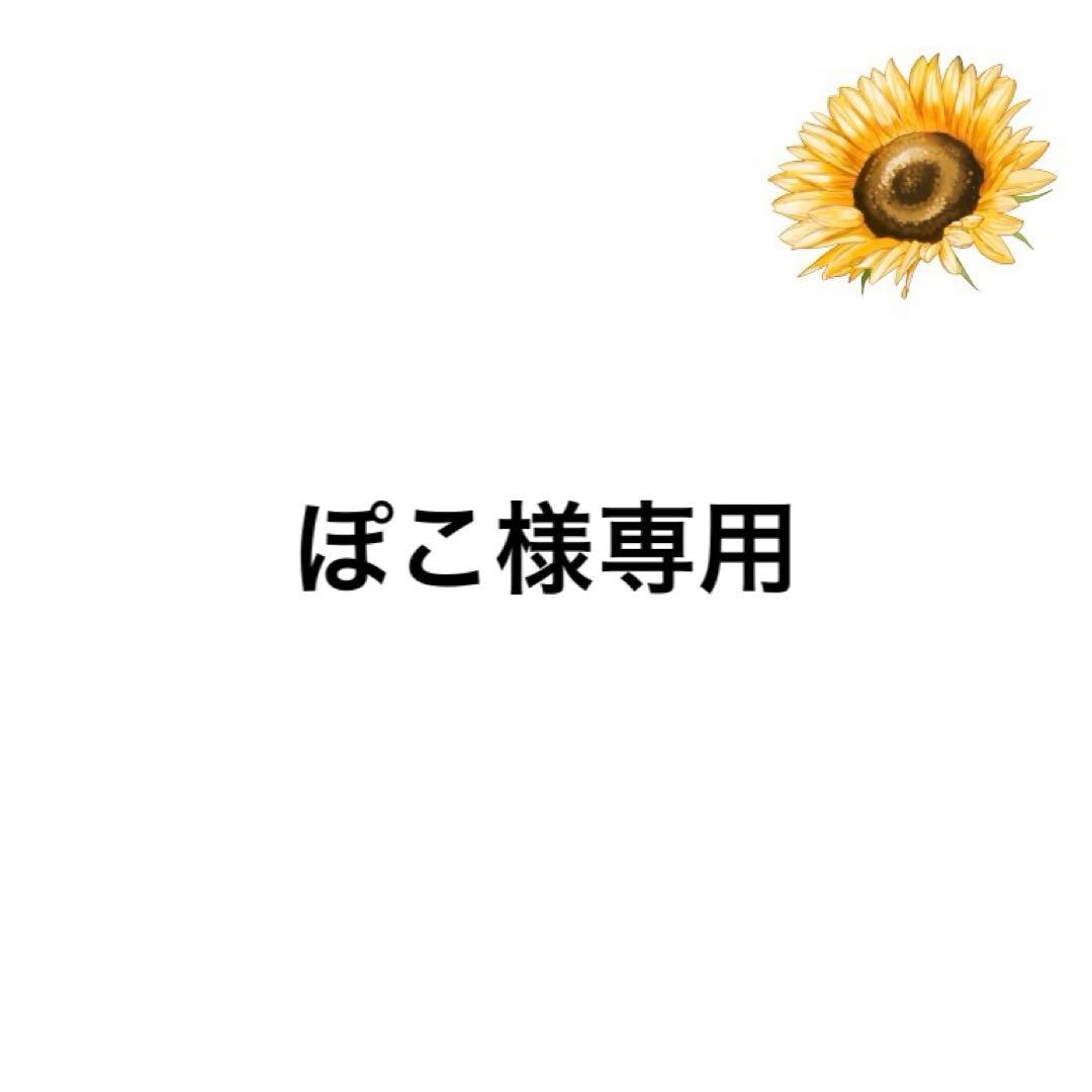 ぽこ