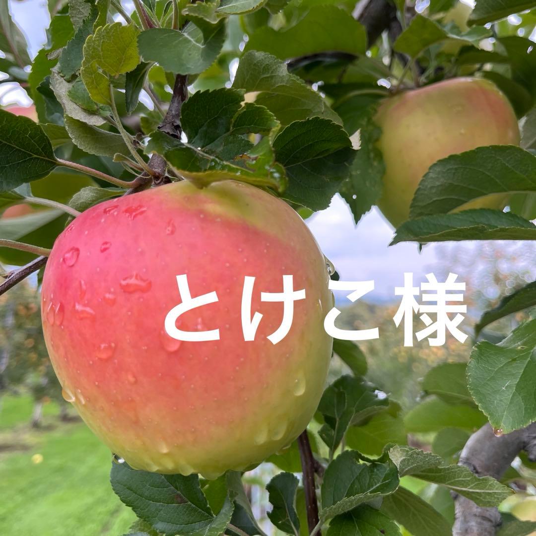 とけこページ✨10kg