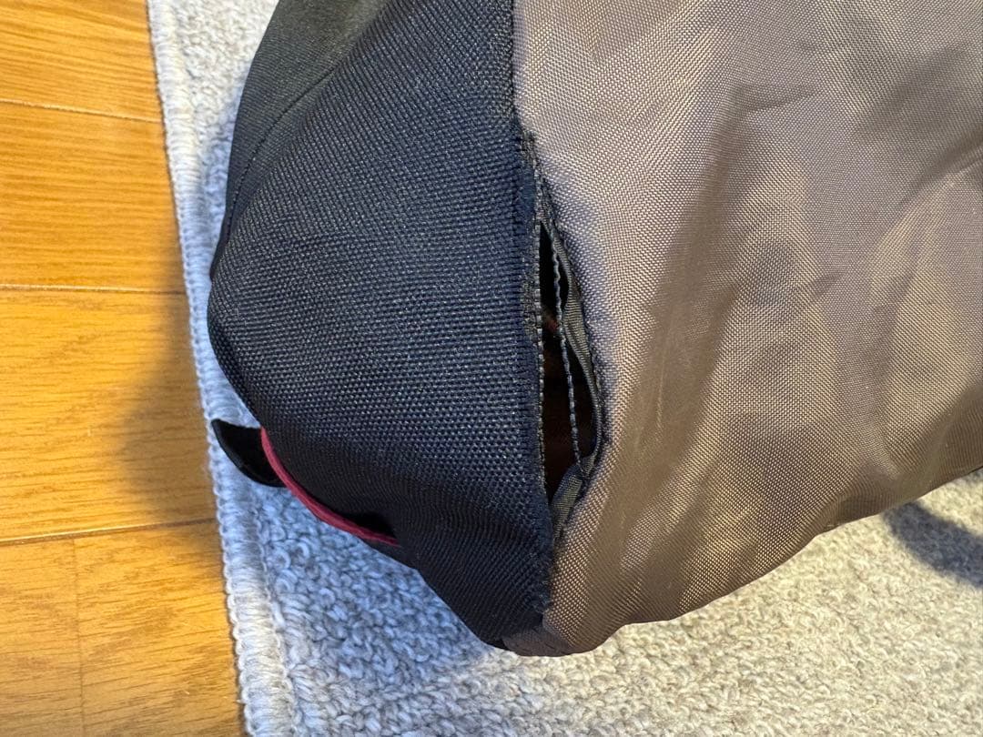 ポール付き　スノーピーク HDタープ シールド ヘキサエヴォ Pro.