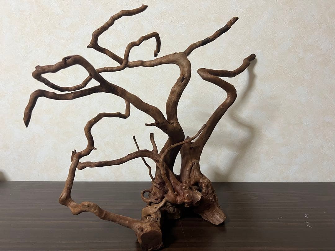 61103 ブランチウッド　流木　アクアリウム　沈水確認済