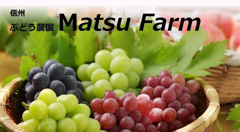 YAYO様様向け商品　　クール便送料込み　9,200円