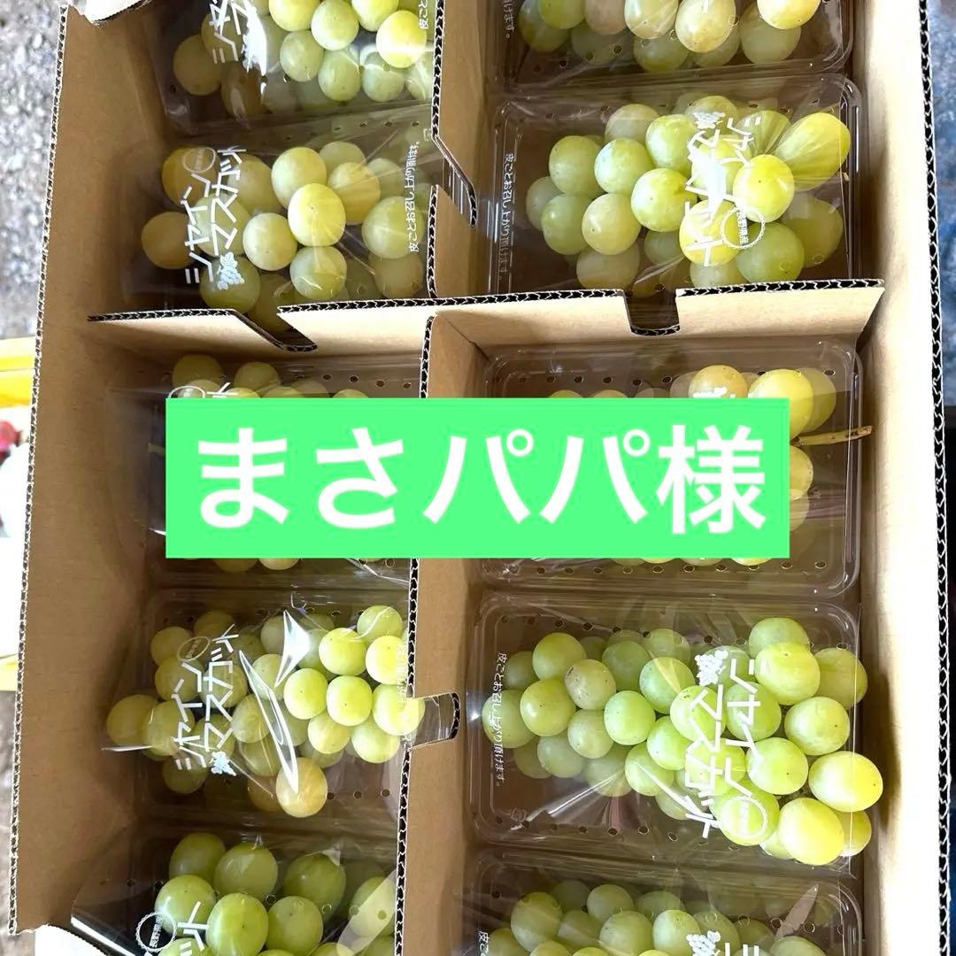 まさパパ様2箱長野県産シャインマスカット家庭用