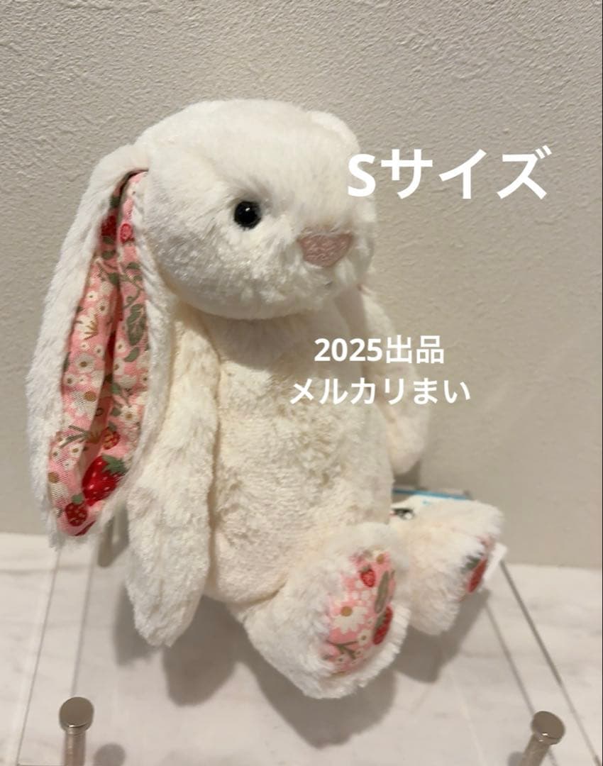  Blossom Cream Bunny 'Berry' （S）