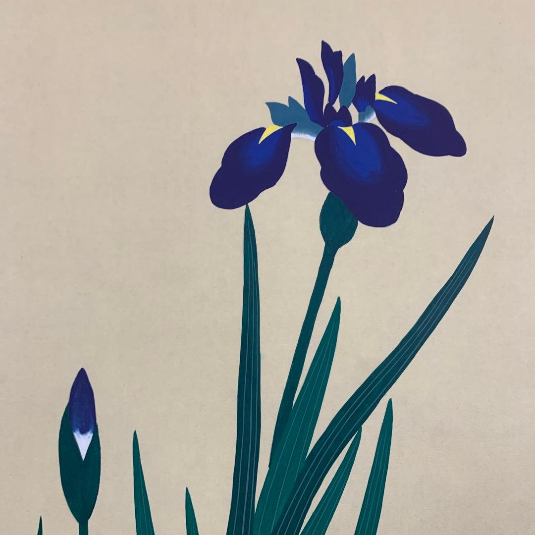 美品 掛け軸 酒井抱一筆 燕子花に水鳥図 二重箱 おもてなし 菖蒲