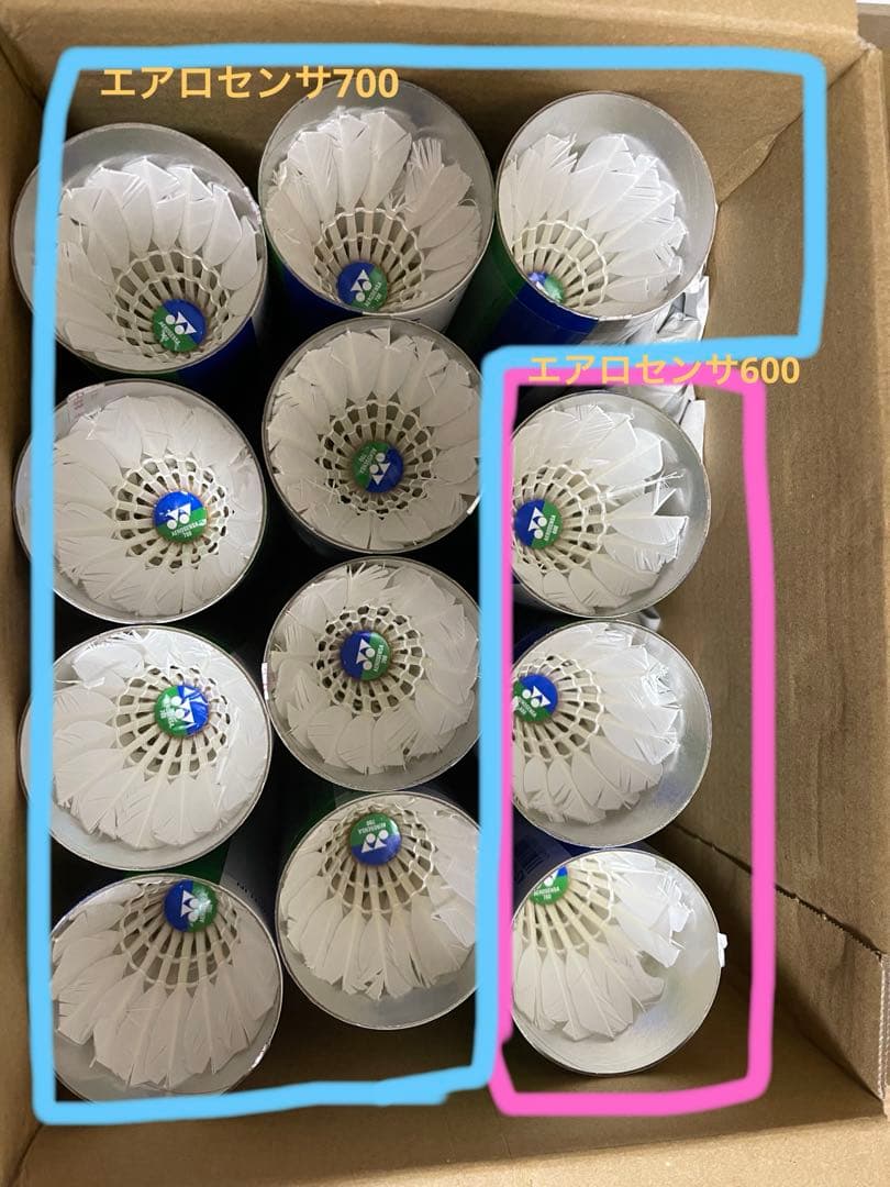 【使用済】バドミントン シャトル