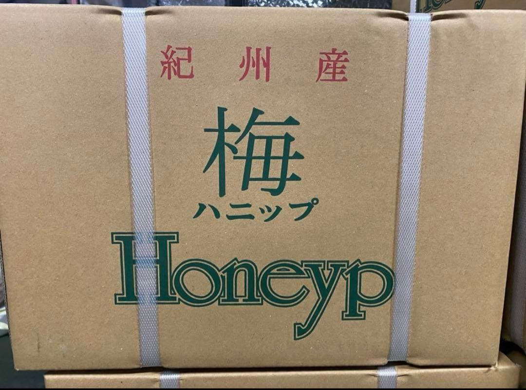 紀州産　梅ハニップジュース　590g 12本セット