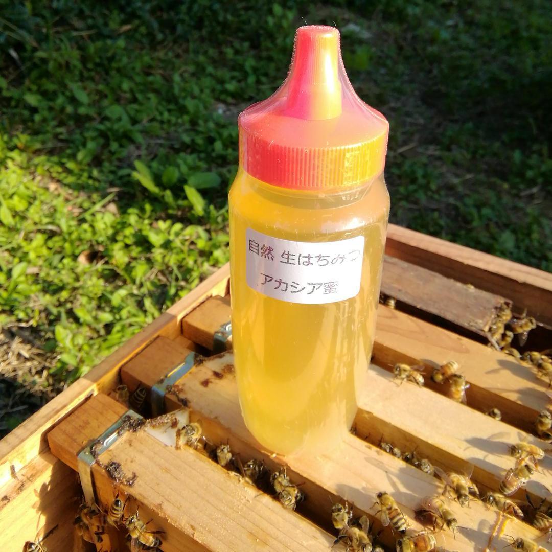 ☀️アカシア蜂蜜１０本　生はちみつ　非加熱ハチミツ