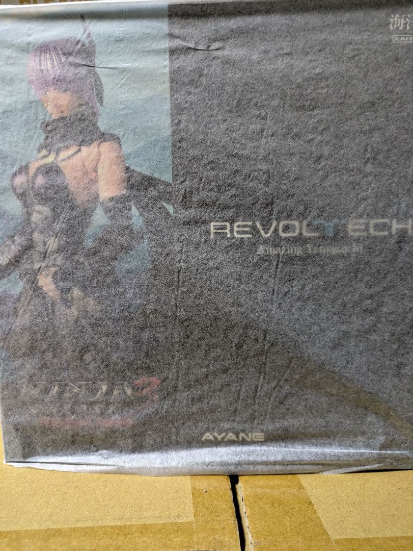 未開封 アメイジングヤマグチ あやね NINJA GAIDEN