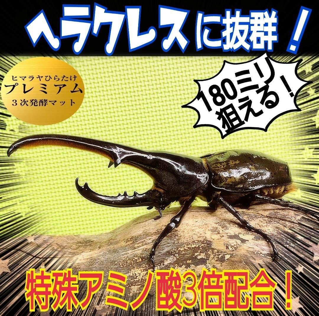 極上！プレミアム3次発酵ヘラクレスマット【5袋】特殊アミノ酸強化配合！産卵にも！
